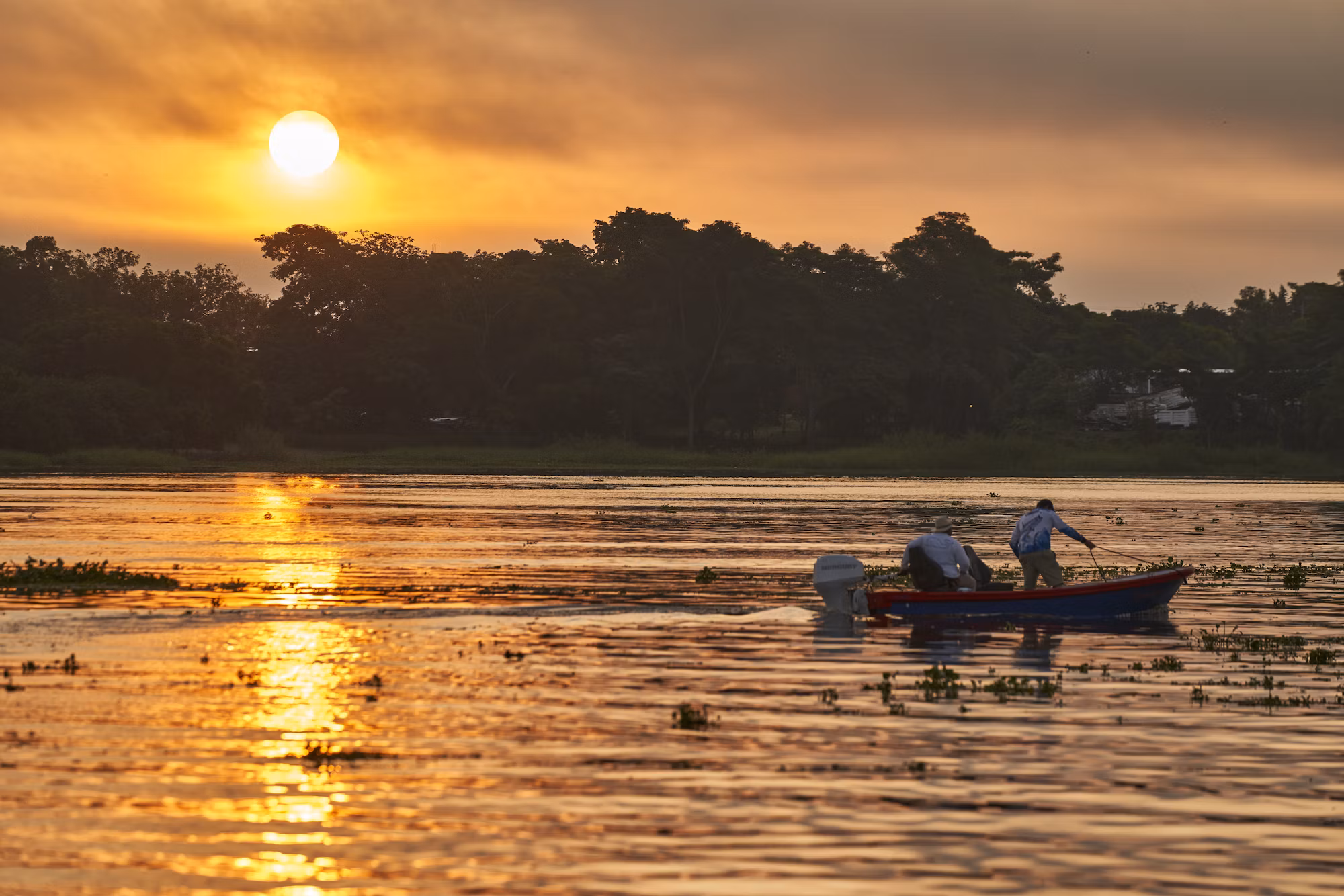 Exploring the Art of Catch and Release Fishing